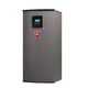 EPIC&reg; Fire Tube Combi Boiler VC Heat Exchanger Floor Mount (0 series)