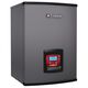 NOBLE® Fire Tube Boiler