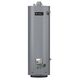40-Gallon Mobile Home Atmospheric Vent Natural Gas Water Heater